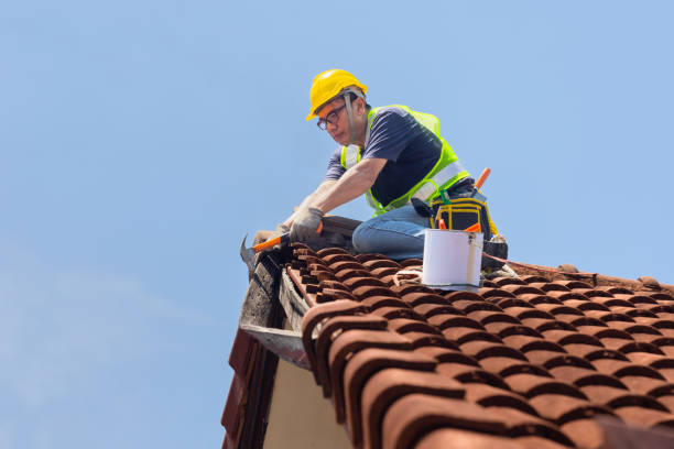 Professional Roofing Contractor in Punaluu, HI